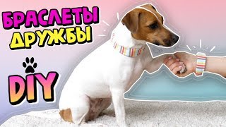DIY🐾 | БРАСЛЕТЫ ДРУЖБЫ ДЛЯ ВАС И ВАШЕЙ СОБАКИ🐶💖 | БЕСШОВНЫЕ ЧЕХЛЫ | Darina Sweet DIY🐾 | БРАСЛЕТЫ ДРУЖБЫ ДЛЯ ВАС И ВАШЕЙ СОБАКИ🐶💖 | БЕСШОВНЫЕ ЧЕХЛЫ | Darina Sweet