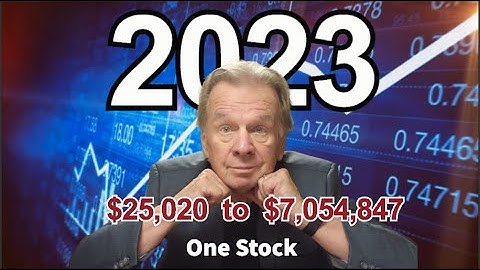 One Stock $25,000 to $7 Million This Year/ Netlist vs Google