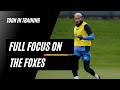 TOON IN TRAINING | Full Focus on the Foxes