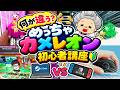 【めっちゃカメレオン】初心者必見！おばあちゃんのめっちゃ初心者講座🎨