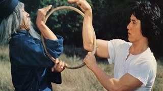 La serpiente a la sombra del aguila  Jackie Chan