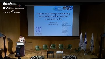 CRCNS 2023 July 11|Tel-Aviv University -Gabriel Kreiman