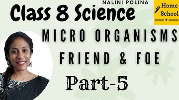 Microorganisms - Friend and Foe Class 8 Science Part-5