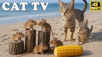 🔴 Cat TV Mouse Maze 📺😸 Real Mice Running, Hiding & Playing - Keeps Cats Focused & Engaged
