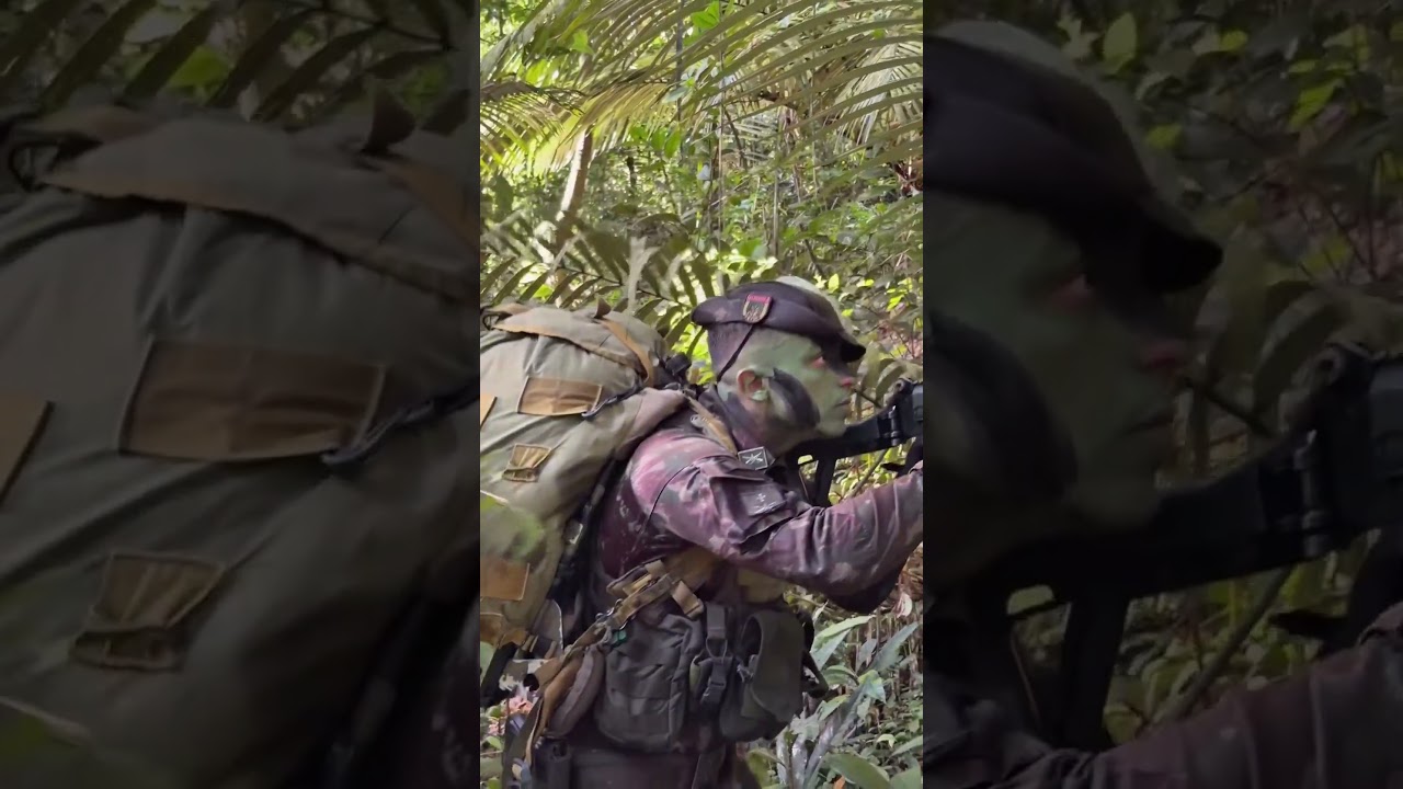 Na imensidão da Amazônia Oriental