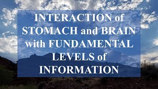 INTERACTION of STOMACH and BRAIN with FUNDAMENTAL LEVELS of INFORMATION