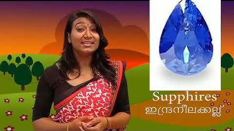 Std 5 English Unit 4  Class 12 White Board SLD