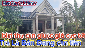 Biệt thự sân vườn đẹp cần giuộc Long An 1229mv có 300m thổ cư đường xe hơi trả giá nào cũng bán