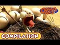 Oscar's Oasis - NOVEMBER COMPILATION [ 20 MINUTES ]