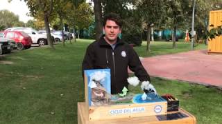 Proyectos DTC - Ciclo del Agua Proyectos DTC - Ciclo del Agua