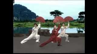 Tai Chi Kungfu Fan Dance