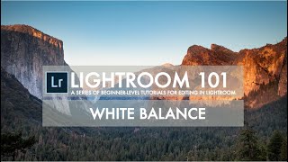 Lightroom 101 White Balance