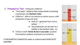 Lesson 5  Water Testing