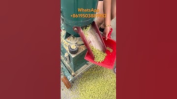 300 type pellet machine test#pelletmachine #pelletmaker  #feedpellet #fuelpellets #feedgranulator