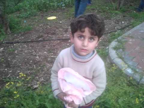 دزيتلك دزلي 2012