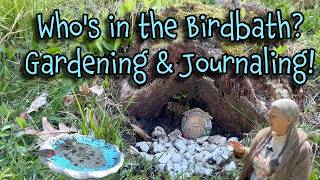 WHO'S BEEN IN THE BIRDBATH??? Fun Critter Cam & Journaling! Spring Garden Chores! #gooutside