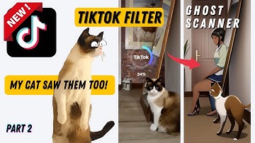 Paranormal Activity! The New Viral Tiktok AI Filter Can Detect Ghosts! 😱 My Cat Saw Them First! 🙀