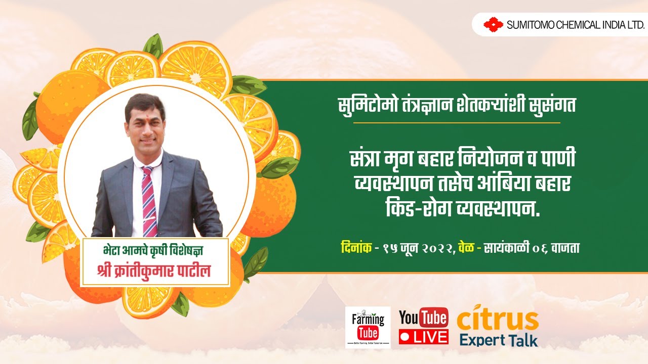 संत्रा मृग बहार नियोजन व पाणी व्यवस्थापन तसेच आंबिया बहार किड-रोग व्यवस्थापन | क्रांतीकुमार पाटील