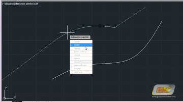 18.7-b Autocad 2013. Editar Polilíneas y Splines.