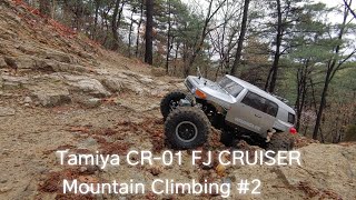 Tamiya CR-01 FJ CRUISER Offroad Mountain Climbing -2 (21.04.12)