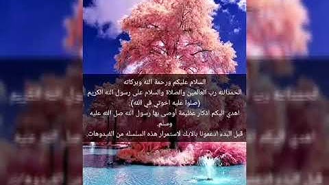 اذكار عظيمة اوصى بها النبي صل الله عليه وسلم.