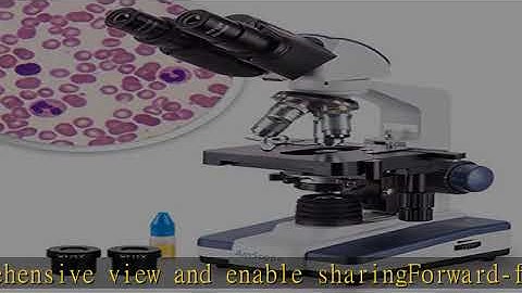 AmScope B120C Siedentopf Binocular Compound Microscope, 40X-2500X Magnification, Brightfield, LED I