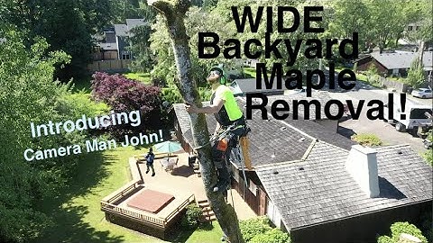 WIDE Backyard Maple Removal!