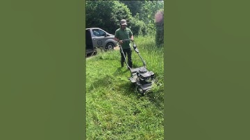 Tall Grass? No Problem for the Weibang Beast!