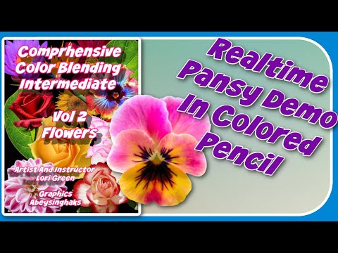 Realistic Color Pencil Pansy In Real Time, Very Relaxing