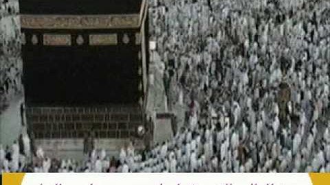 الشيخ ابراهيم الزيات وقراءة لسورة الملك