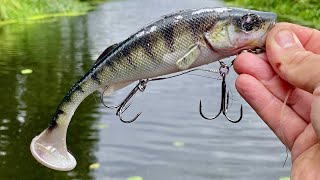 Exploring New Waters On My Kayak Pike Fishing
