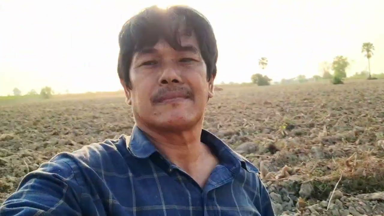 มันสำประหลังพันธุ์ku80อายุ9เดือนครับ