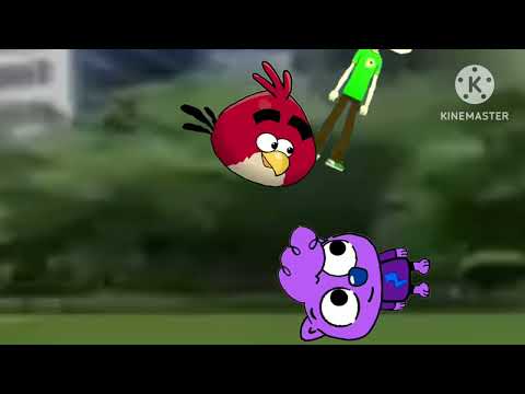 The Doowee Channel