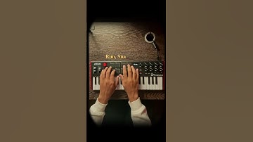 AKAI MINI PLUS LOOPS