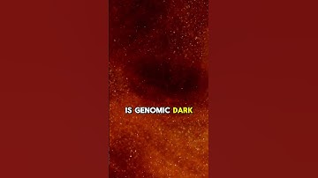 Genomic dark matter is the new cool kid on the block. #dna #genomics #science