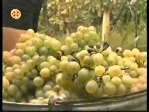 29 09 2014   ერთსულოვნება   სიახლენი 19 00