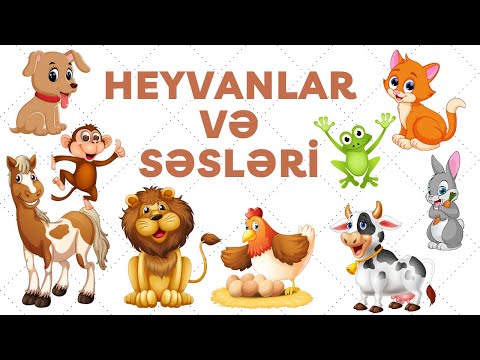 HEYVANLAR VE SESLERİ, HEYVANLAR ALEMİ