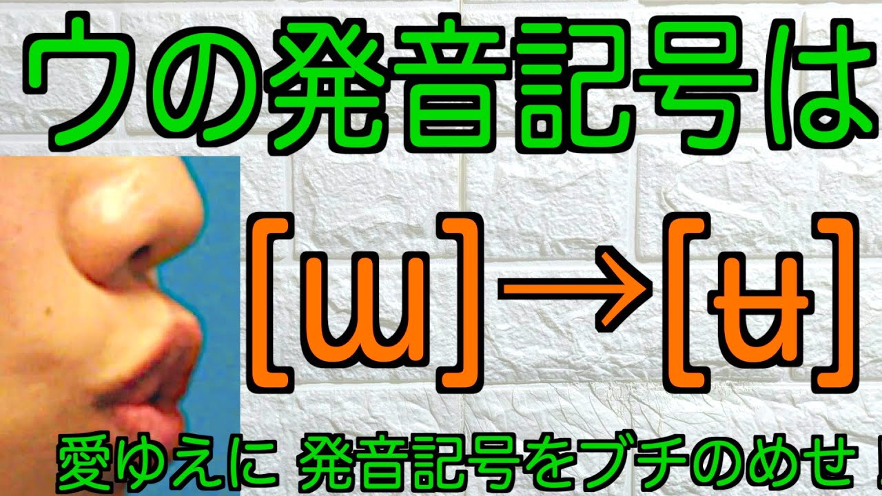 「ウ」の発音記号は[ɯ]から[ʉ]（円唇中舌母音）に変えよう！超音波による検証！日本語音声学音韻論を面白く！日本語のウ⑦
