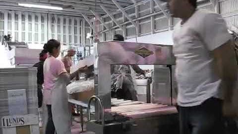 Dynaric DF117S Automatic Stainless Steel Strapper Strapping Seafood | ProPac.com