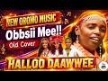 New Oromo Music 2026 HALLOO DAWEE Obbsii Mee Cover Old 