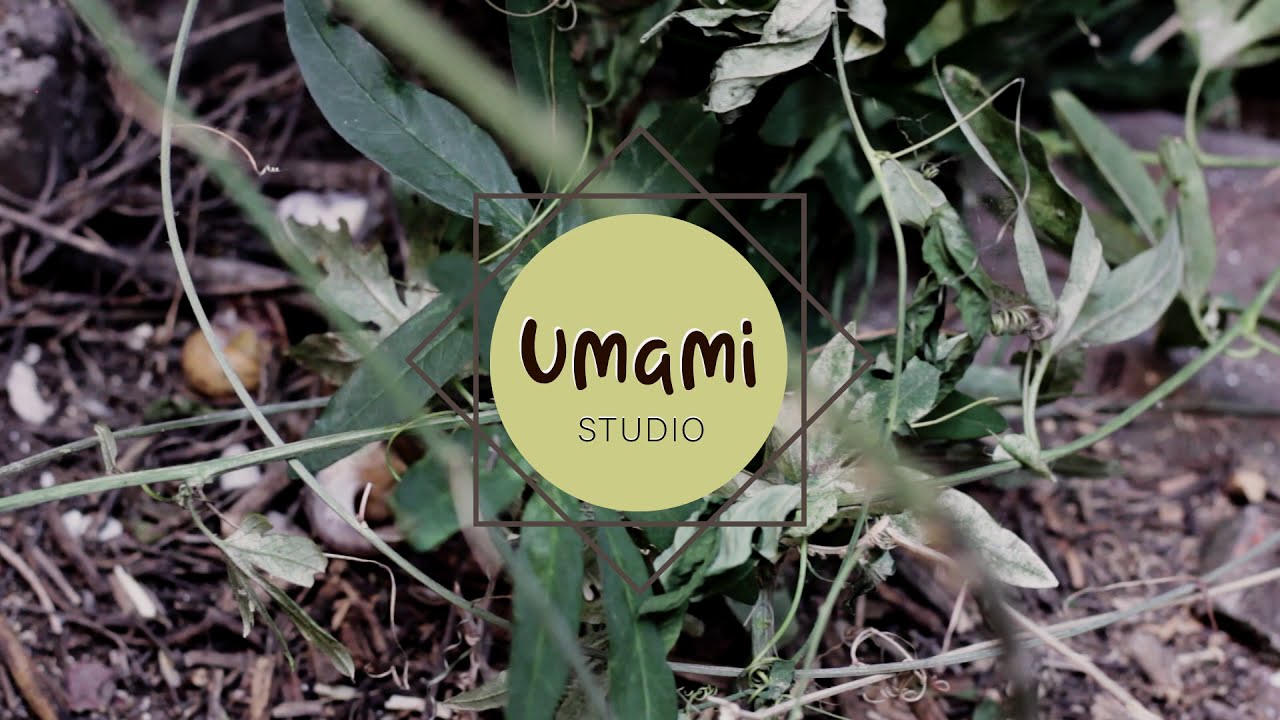 UMAMI_TP N°1_VIDEO_EL AURA_RE-ENTREGA FINAL