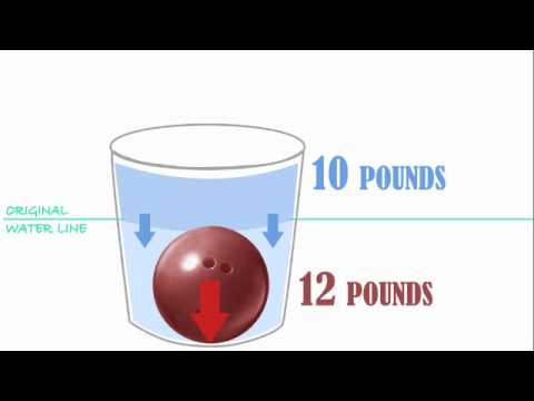 Facts About Sink And Float Easy Science For Kids