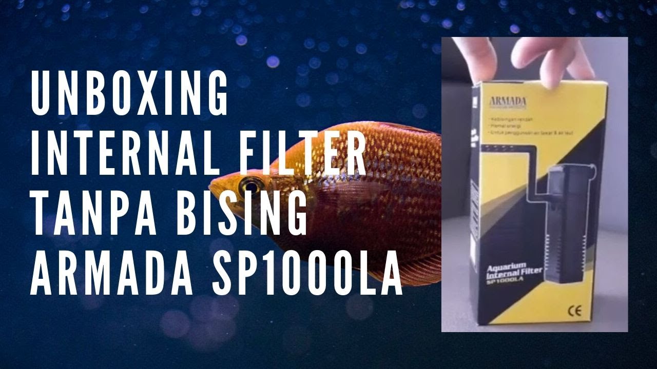 Internal Filter Aquarium Terbaik Tanpa Bising Mesin YouTube