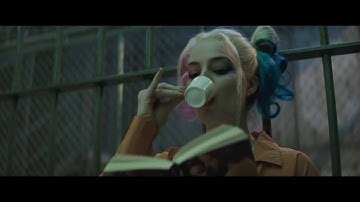 Harley Quinn // You don