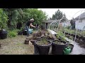 Outdoor Cannabis Cultivation