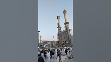 #سورة_الإخلاص