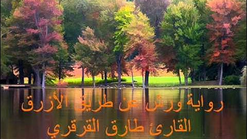 سورة المنافقون للقارئ طارق القرقري