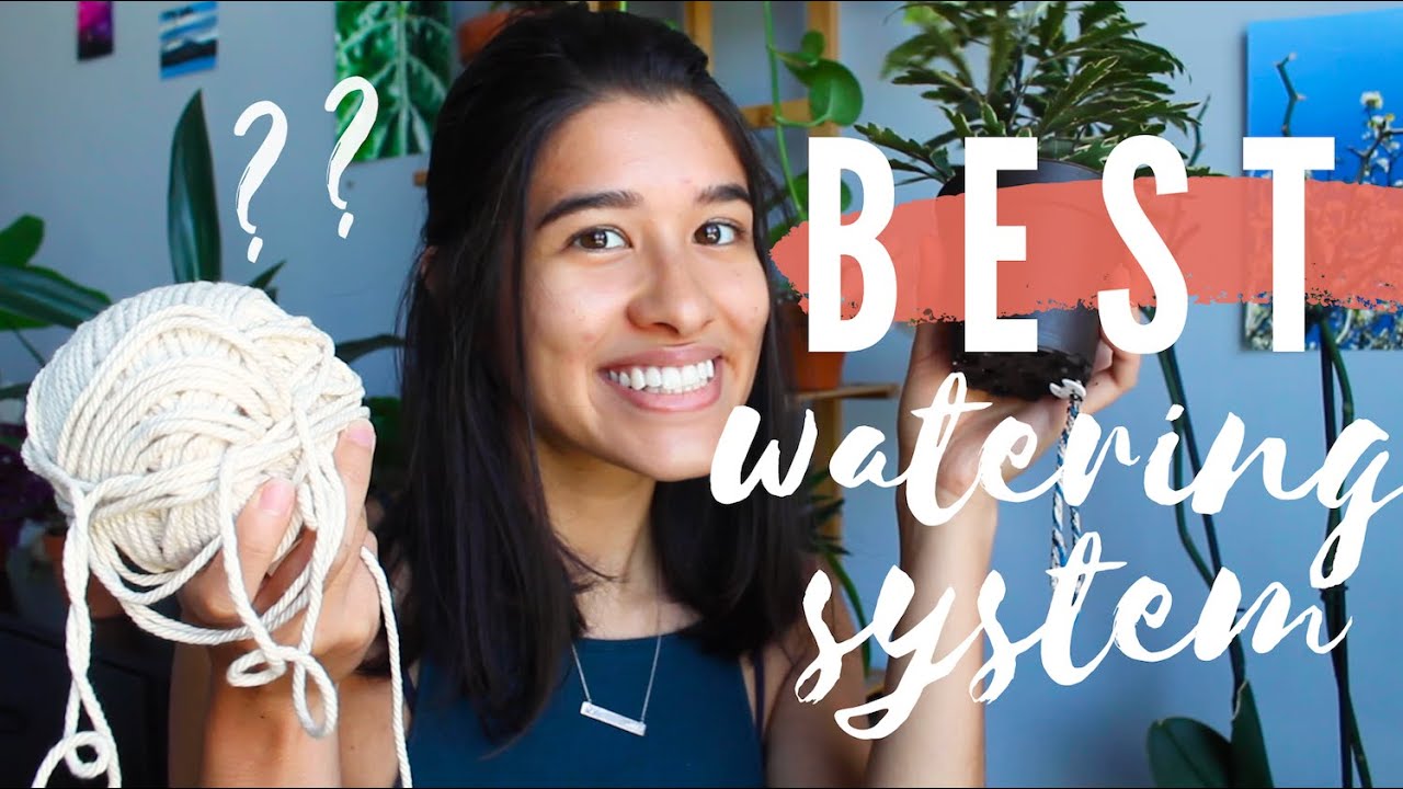 I STOPPED WATERING MY PLANTS 🤯  DIY Self Watering Systems Part 2! 