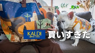 【KALDI購入品】おすすめ商品片っぱしから買ってきました！試食レビューします！