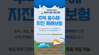 형이 구해주러 왔구나  #장마 #집중호우 #지진 #재해 #보험